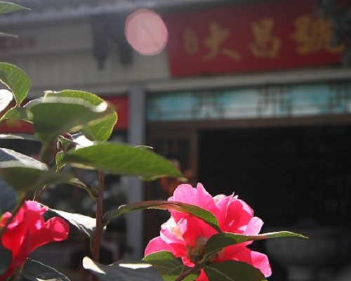 茶香氤氲辞旧岁，花团锦簇迎新春