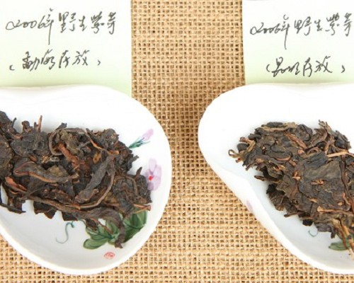 昆明勐海两地存茶野生紫芽对比审评录